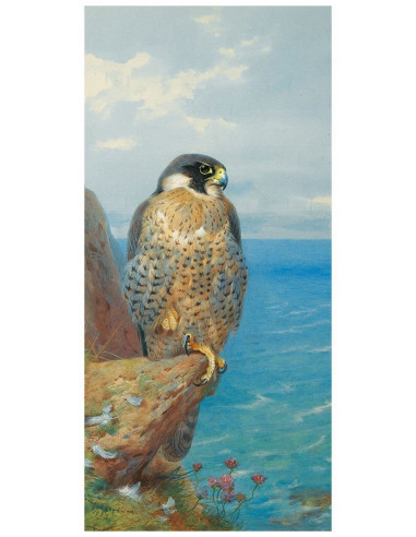 Картина Peregrine, 33х70 см, рама жемчуг с...