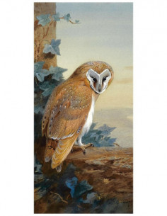 Картина A Barn Owl, 33х70 см, рама жемчуг с серебром