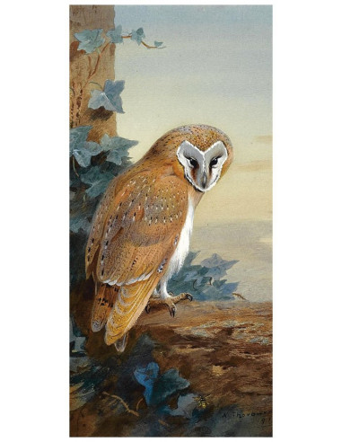 Картина A Barn Owl, 33х70 см, рама жемчуг с...