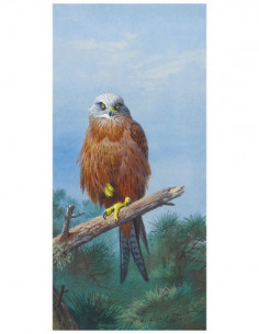 Картина Red Kite, 33х70 см, рама жемчуг с серебром